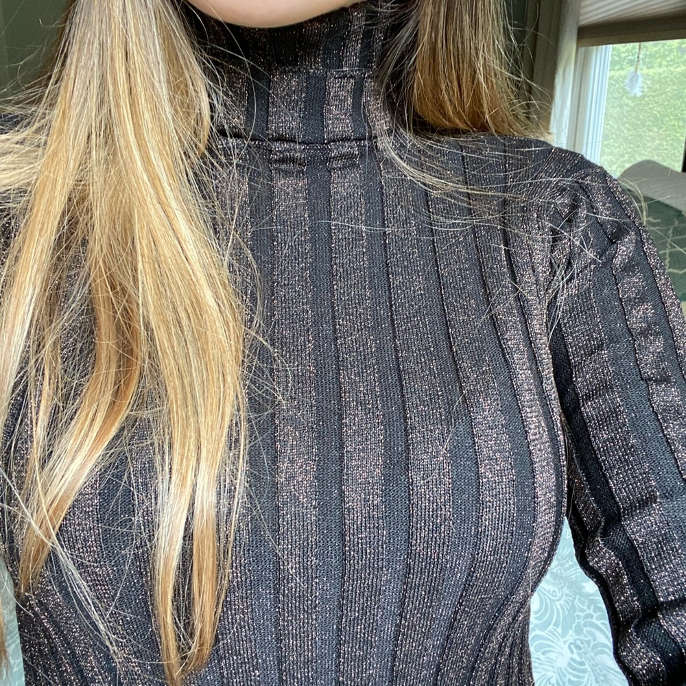 Zara Knit Sparkly Turtleneck